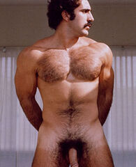 Bruno Image