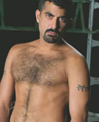 Sarib