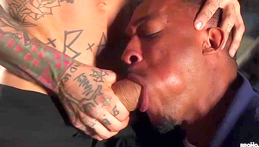 Trent King Ignites Passionate Bo Sinn in Sizzling Interracial Buttfuck Thrills – USA Gay