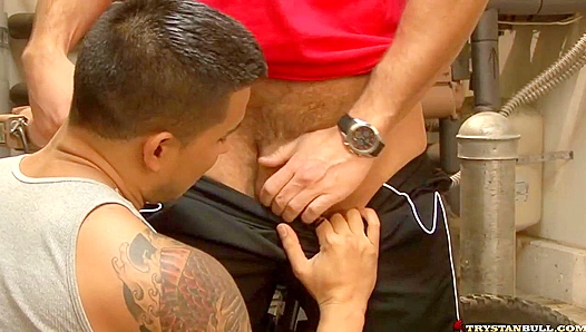 Forbidden Passion Ignites: Trystan Hunters Steamy Threeway Adventure