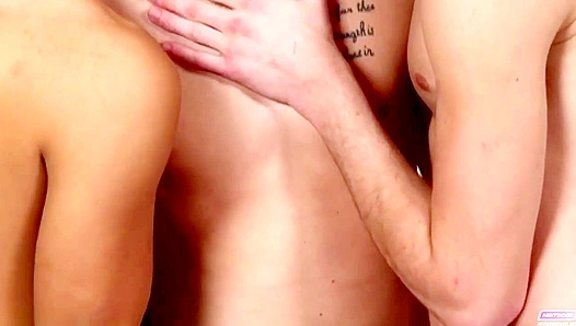 Steamy Glory Hole Rampage: Hung Models Unrelenting Bareback Butts – HotBoys 18+