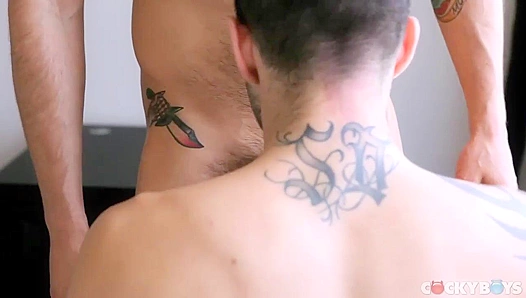 Harder Stewarts Wild DP Frenzy: CockyBoys Exclusive Double Penetration Thrill