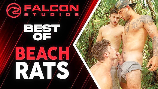 Beachside Brawlers: Rough, Slick Skin-on-Skin Thrills in the Sand – Falcon