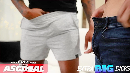 Size Matters: Thick Dicks Appraised as Hung Studs Slam into Tight Booties – PrideStudios