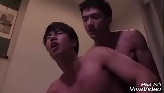 Intimate Gay Escapades: Adorable Asian Boys Discover Shared Lust – TinyGays 18+