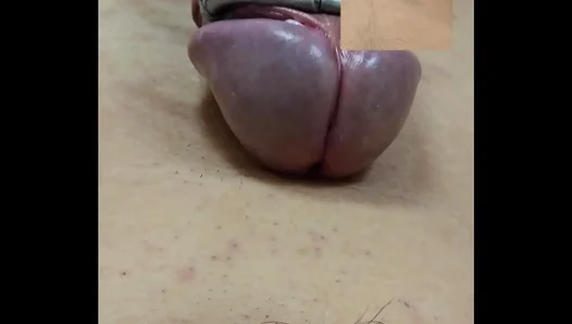 Hands-Free Orgasm: Amateur Enjoys Rigid Thrusts from Sizzling Gay Toys – 18+