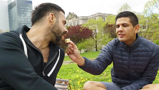 Forbidden Fruit at the Family Picnic: Stepsons Lust for Stepdad Ignites Scorching Taboo