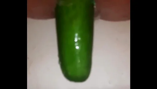 Sweaty Rump Intensifies Cucumber Thrills: Solo Gay Butt Exercises Lead to XXX Flesh Frenzy