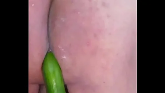 Cucumber Delight for Gay Newbies: Sizzling Solo Butt Exploration – XXXTapes 18+
