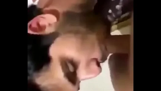 Seductive Slavic Stud Teases with Steamy Blowjob Jerks Off Juicy Nuts – NaughtyLads 18+