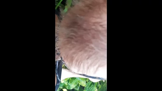 Beachside Blowjobs Galore: Gringo Devours Thick Foreign Meat Like a Pro – AmateurGayFun