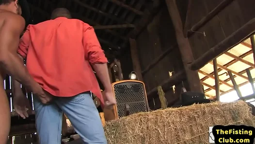Rough Farmer Fuck: Brawny Lovers Deepthroat Pounding Passion