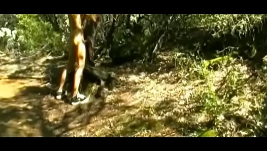 Lively Teen Boys Exhilarated Moans Fill the Air as He Frantically Masturbates to Outdoor