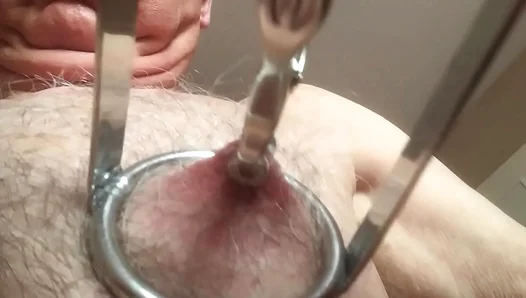 Forbidden Temptations: Submissive Boy Plays Nipple Games with Masters Alluring Body – 18+
