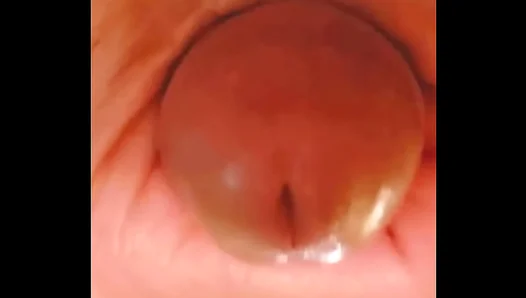 Slow Licking Devotion: Mouth Wraps Around Hung Amateur Cockhead in Solo 18+ Thrill