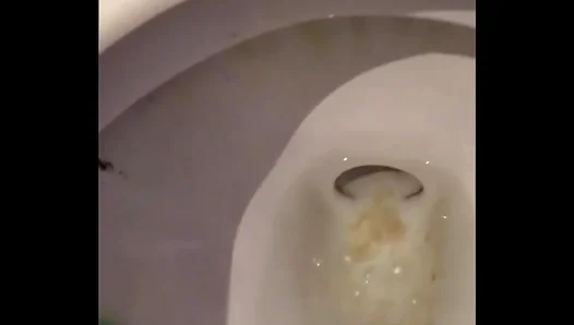 Squirting Ass and Jerking Off in the Boys Room – HotSoloGay 18+