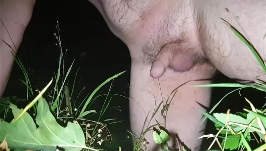Thrilling Nautical Adventures: Mens Steamy Watersports Orgies Under the Stars – TinyGays