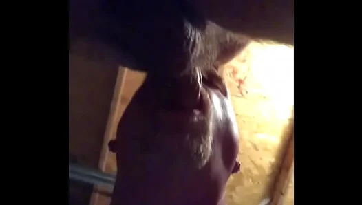 Bareback Garage Heat: Amateur Lads Raw and Relentless in Forbidden Fucking Spree