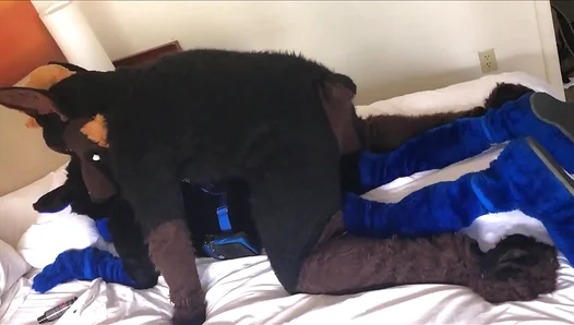 Kairo Murrs Furry Getup Frames His Intense Canine Pound – TinyGays 18+