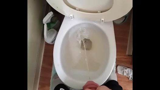 Piss Play, Deep Throating, and Raw Glory: Gay Mens Wild XXX Action