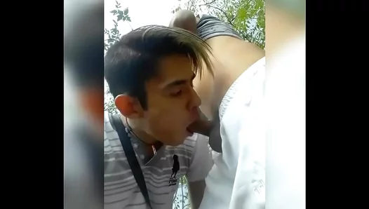 Steamy Sunlit Slay: Hung Studs Hook Up Raw Under Open Skies Captured by Voyeur Cam –