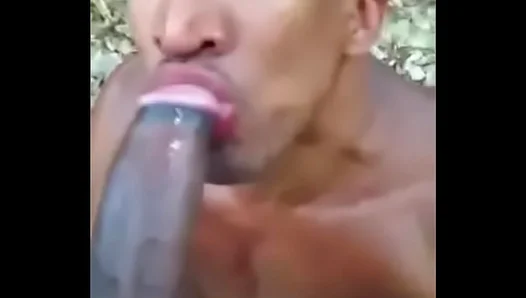 Mature Hunks Sizzling Chemistry Ignites Wild Gay Threesome with Hot Shemale – NaughtyXXX
