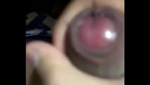 Chibolos Unleashed Lust: Thrusting His Thick Cock in Lewd Solo Scenes 18+