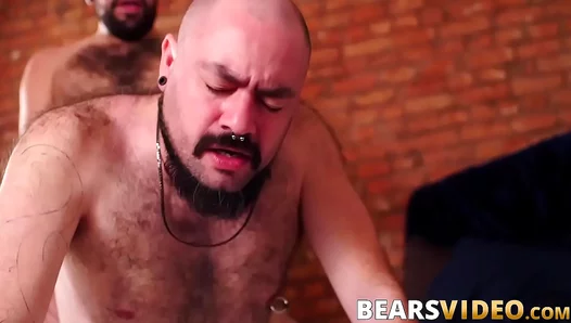 Rugged Bear Tony Rivers Dominates in Raw Sex Sessions – Powerful Gay Fucking