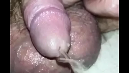 Intimate Urine Encounter: Close-Up Fun With Petite, Uncut Amateur Dick – CloseUpGayAction