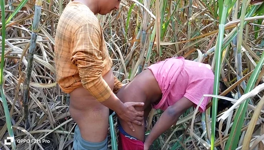 Farmboy Frenzy: Three Hard-Working Guys Take Turns Breeding a Sexy Babe Outdoors -