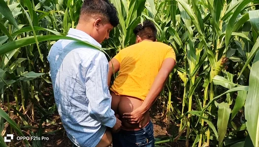 Cornfield Throes: Lustful Student Seduces Alluring Professor in Ripe Midsummer Heat – 18+