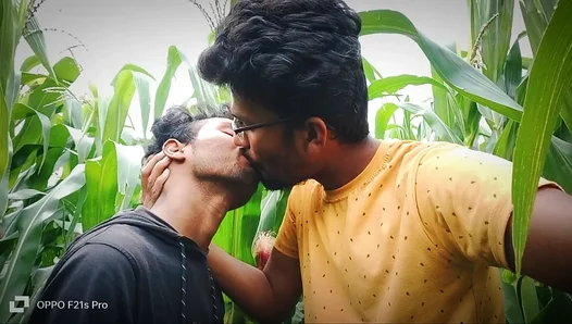 Scorching Summer Romance: Laughter and Lust Ignite Amidst Cornstalks for Two Horny Lads –