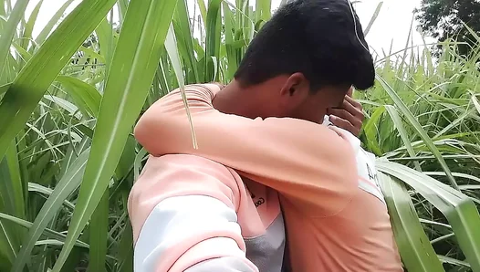 Sugar Rush Seduction: Heaters Engulfed by Lust Amidst Sweltering Canes in the Fields -