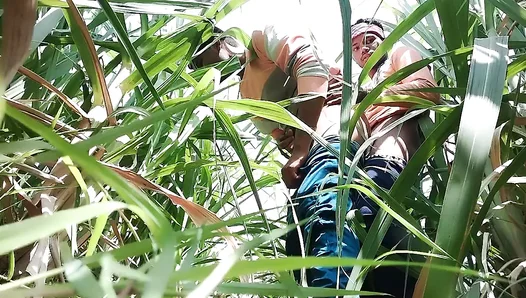 Steamy Field Affair: Raw Indian Lust Ignites Between Men - Gay Desi XXX 18+
