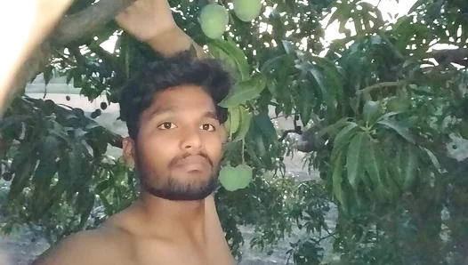 Savoring Summers Bounty: Hung Stud Enjoys Juicy Mango in Sun-Drenched Bliss - 18+