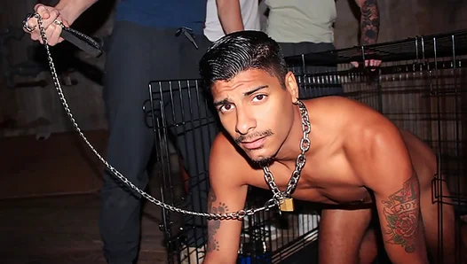 Wild Fraternity Initiation: Apollos Pleas Echo from the Cage as He Craves Intense Rear