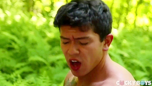 Sun-Kissed Orgy: Mateos Steamy Outdoor Fuck Fest in the Open Fields – CockyBoys 18+