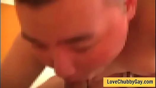 Chubby Bears Meaty Cocks Eagerly Exposed - Gay Cub Passion 18+