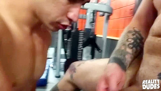 Dane Zanders Sweaty Gym Workouts Lead to a Steamy Raw Fuck at Reality Dudes