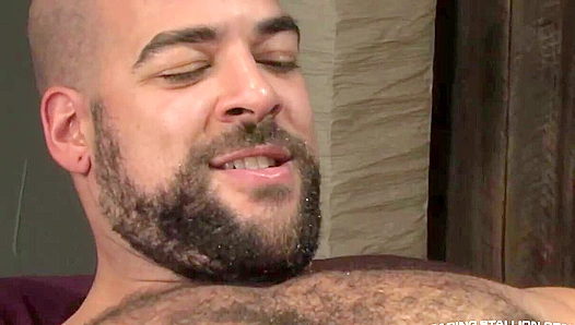 Steamy Stallion Lovestory: Dominant Hairy Bear Takes Charge, Claiming His Lovers Hungry